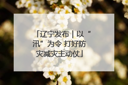 辽宁发布｜以“汛”为令 打好防灾减灾主动仗