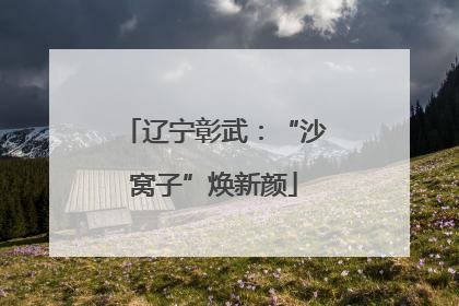 辽宁彰武：“沙窝子”焕新颜