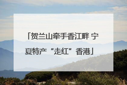 贺兰山牵手香江畔 宁夏特产“走红”香港