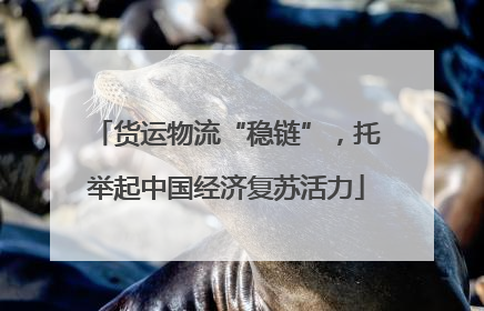 货运物流“稳链”，托举起中国经济复苏活力