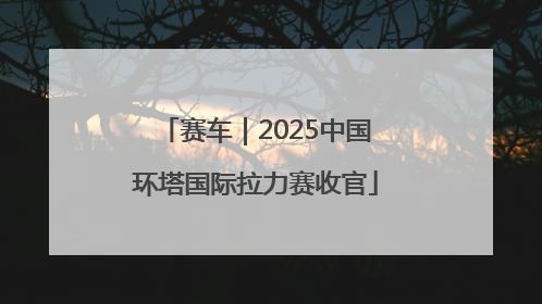 赛车｜2025中国环塔国际拉力赛收官