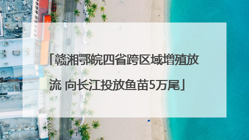 赣湘鄂皖四省跨区域增殖放流 向长江投放鱼苗5万尾