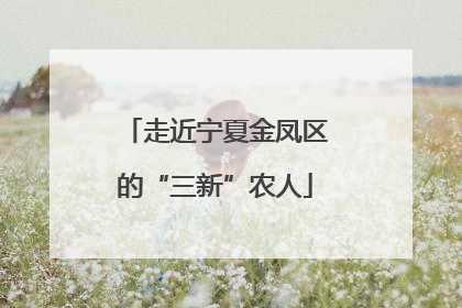走近宁夏金凤区的“三新”农人