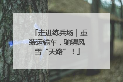 走进练兵场｜重装运输车，驰骋风雪“天路”！
