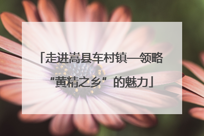 走进嵩县车村镇—领略“黄精之乡”的魅力