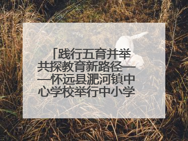 践行五育并举 共探教育新路径——怀远县淝河镇中心学校举行中小学、幼儿园班主任论坛活动