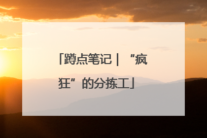 蹲点笔记｜“疯狂”的分拣工