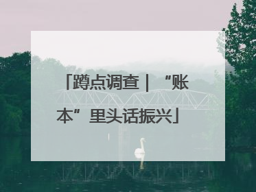 蹲点调查｜“账本”里头话振兴