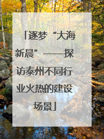 逐梦“大海新晨”——探访泰州不同行业火热的建设场景