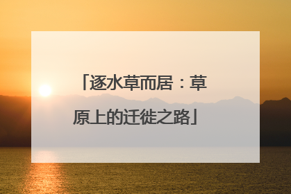 逐水草而居：草原上的迁徙之路