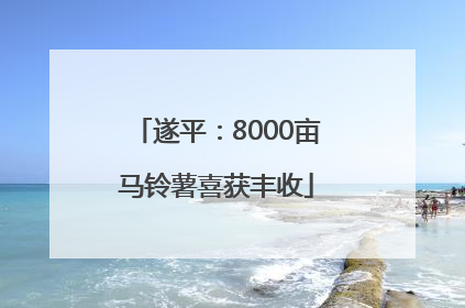 遂平：8000亩马铃薯喜获丰收