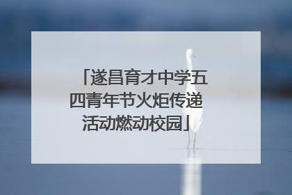 遂昌育才中学五四青年节火炬传递活动燃动校园