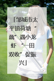 邹城市太平镇荷塘“藕”遇小龙虾 “一田双收”促振兴