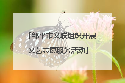 邹平市文联组织开展文艺志愿服务活动