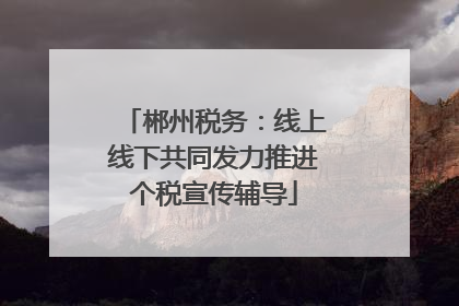 郴州税务：线上线下共同发力推进个税宣传辅导