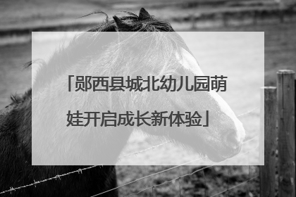 郧西县城北幼儿园萌娃开启成长新体验