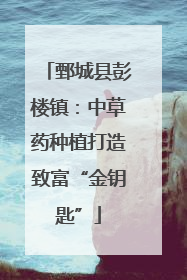 鄄城县彭楼镇：中草药种植打造致富“金钥匙”