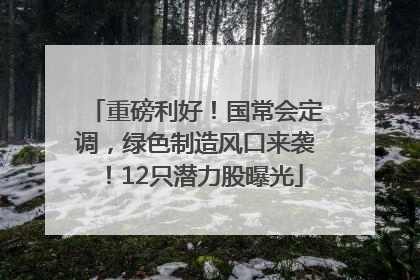 重磅利好！国常会定调，绿色制造风口来袭！12只潜力股曝光