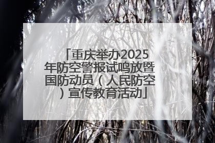 重庆举办2025年防空警报试鸣放暨国防动员（人民防空）宣传教育活动