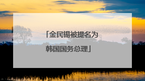 金民锡被提名为韩国国务总理
