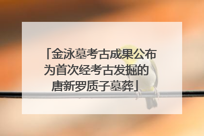 金泳墓考古成果公布 为首次经考古发掘的唐新罗质子墓葬