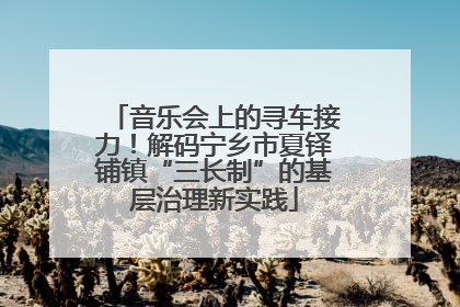 音乐会上的寻车接力！解码宁乡市夏铎铺镇“三长制”的基层治理新实践