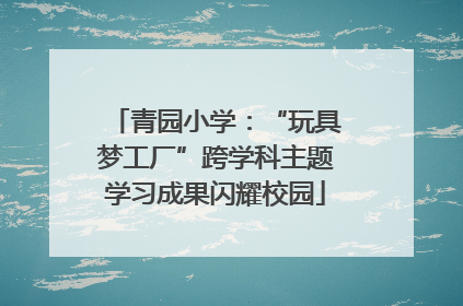 青园小学：“玩具梦工厂”跨学科主题学习成果闪耀校园