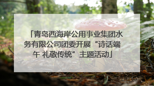 青岛西海岸公用事业集团水务有限公司团委开展“诗话端午 礼敬传统”主题活动