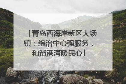 青岛西海岸新区大场镇：综治中心强服务，和谐港湾暖民心