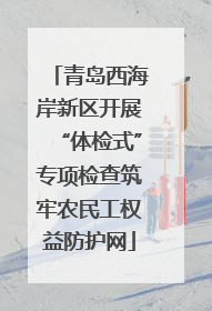 青岛西海岸新区开展“体检式”专项检查筑牢农民工权益防护网