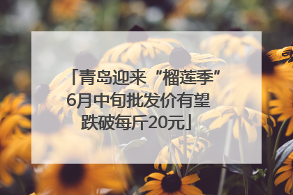青岛迎来“榴莲季” 6月中旬批发价有望跌破每斤20元