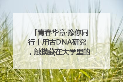 青春华章·豫你同行丨用古DNA研究，触摸藏在大学里的“上下五千年”