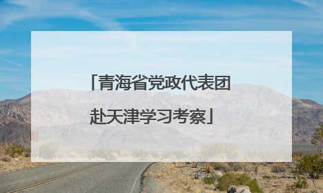 青海省党政代表团赴天津学习考察