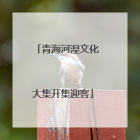 青海河湟文化大集开集迎客