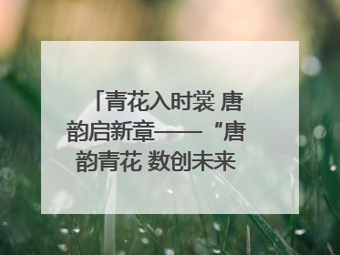 青花入时裳 唐韵启新章——“唐韵青花 数创未来”数字文创设计大赛启幕