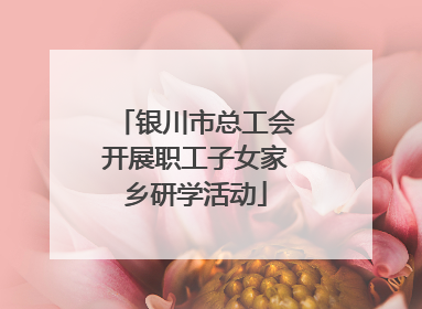 银川市总工会开展职工子女家乡研学活动