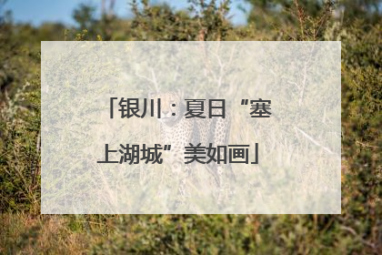 银川：夏日“塞上湖城”美如画