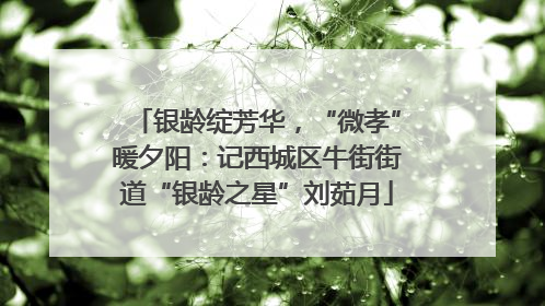 银龄绽芳华，“微孝”暖夕阳：记西城区牛街街道“银龄之星”刘茹月