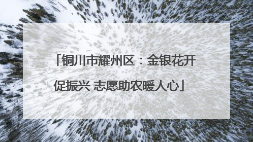 铜川市耀州区：金银花开促振兴 志愿助农暖人心