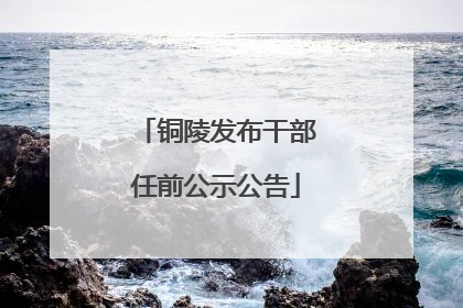 铜陵发布干部任前公示公告
