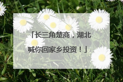 长三角楚商，湖北喊你回家乡投资！