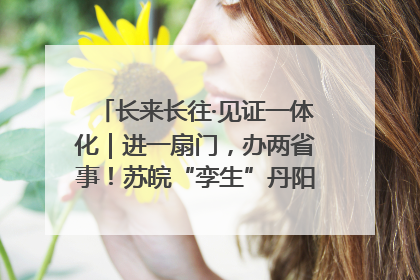 长来长往·见证一体化｜进一扇门，办两省事！苏皖“孪生”丹阳如何做到的？