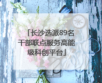 长沙选派89名干部联点服务高能级科创平台