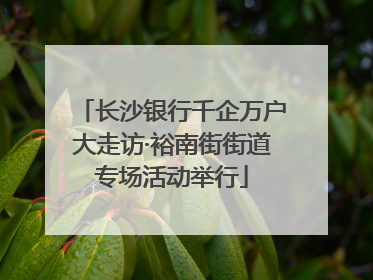 长沙银行千企万户大走访·裕南街街道专场活动举行