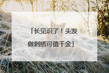 长见识了！头发做刺绣可值千金