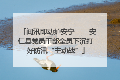 闻汛即动护安宁——安仁县党员干部全员下沉打好防汛“主动战”