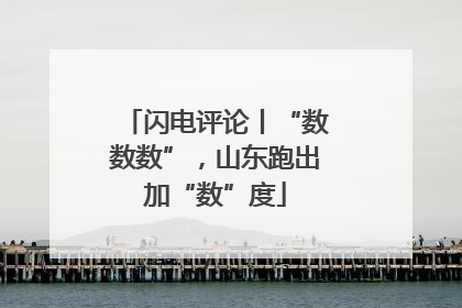 闪电评论丨“数数数”，山东跑出加“数”度