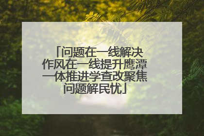 问题在一线解决 作风在一线提升鹰潭一体推进学查改聚焦问题解民忧