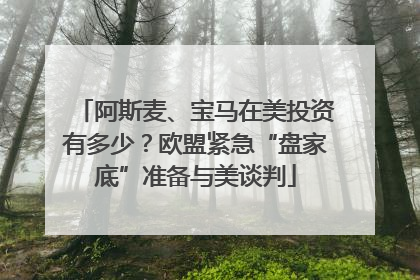 阿斯麦、宝马在美投资有多少？欧盟紧急“盘家底”准备与美谈判