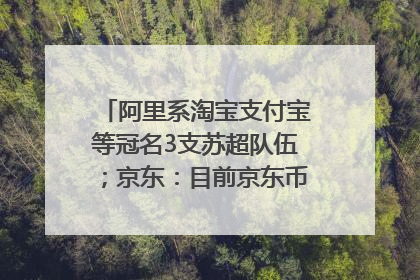 阿里系淘宝支付宝等冠名3支苏超队伍；京东：目前京东币链科技并没有开始发行稳定币｜早资道